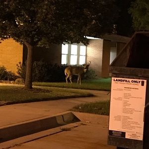 Meet your Posher, Justin